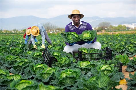 Our Farmers Agri Workers And Their Families Deserve Respect Western