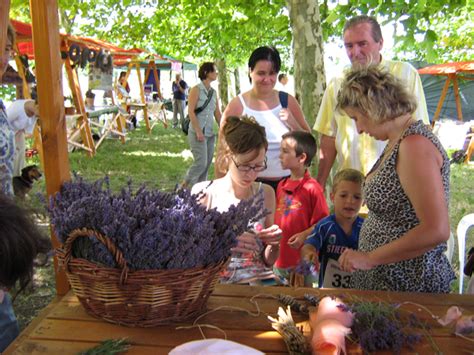 Summertime at Balaton: Tihany Lavender Festival