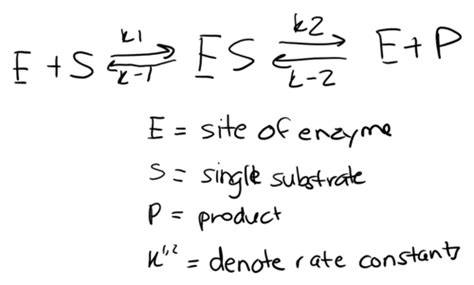 Week Based On Lectures Power Points And Recordings And