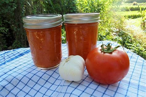 Tomatensauce Aus Ofenger Steten Tomaten Plus Rezept