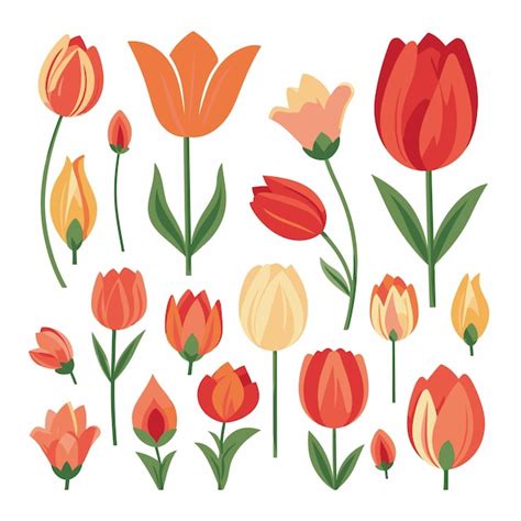 Premium Vector Vector Tulip Flower Collection Set