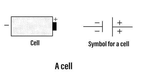 Electrolytic Cell Circuit Diagram Electrolytic Cell Infograp