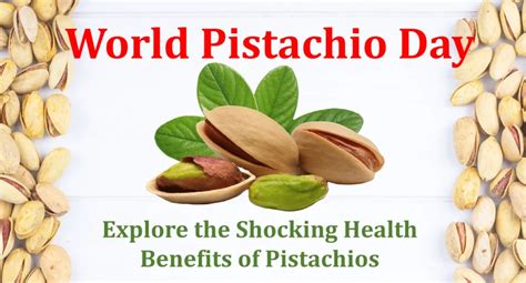 World Pistachio Day Explore The Shocking Health Benefits Of Pistachios