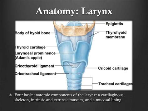 Ppt Airway Management For Neck Trauma Alex Sigalovsky Crna