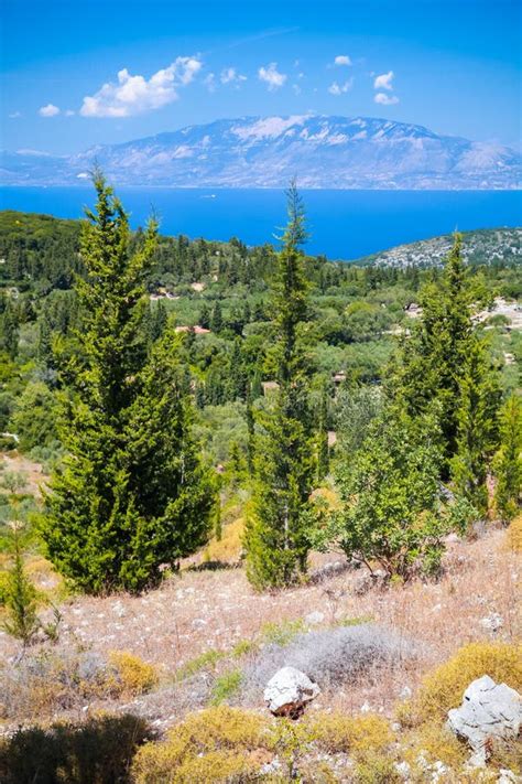 Cypress Trees Zakynthos Greek Island Stock Photo Image Of Horizon