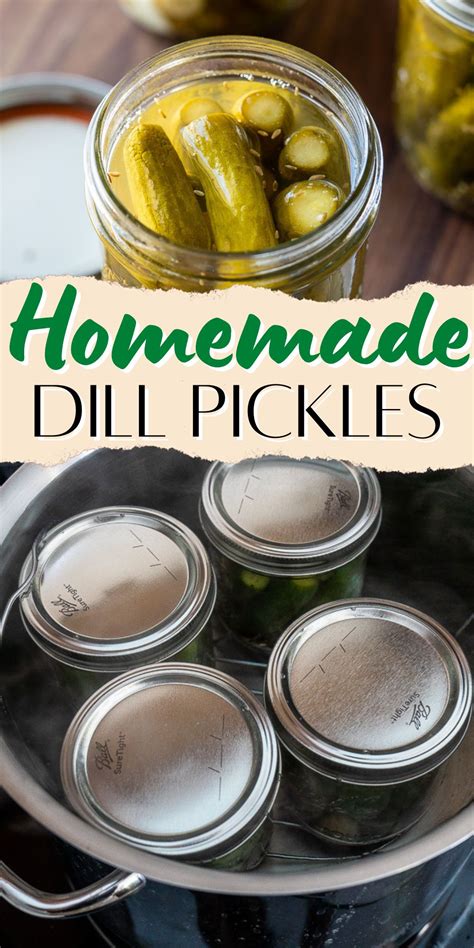 Homemade Canned Dill Pickles I Wash You Dry