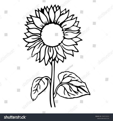 Sunflower Coloring Page Kids Stock Vector (Royalty Free) 2142731211 ...