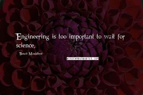 Benoit Mandelbrot Quotes Engineering Is Too Important To Wait For