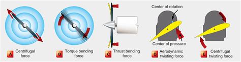 Types Of Propeller Aircraft