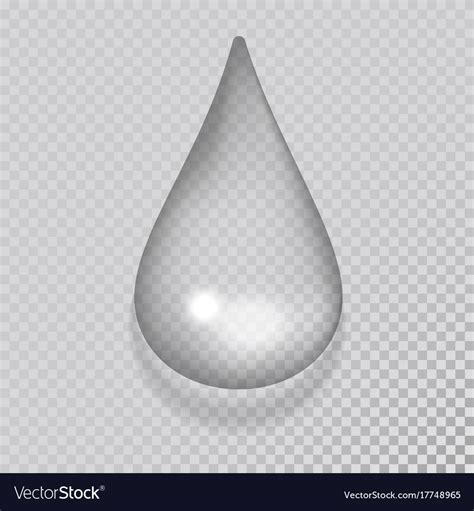 Realistic Water Drop Liquid Transparent Raindrop Vector Image