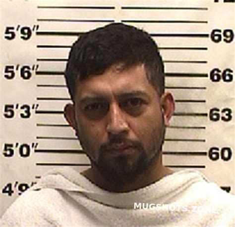 REYES VICTOR BARNABE GUADALUPE 02 15 2023 Navarro County Mugshots Zone