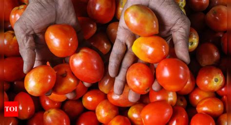 Cooling Tomato Prices Bring Down Thali Rates Times Of India Keviang™