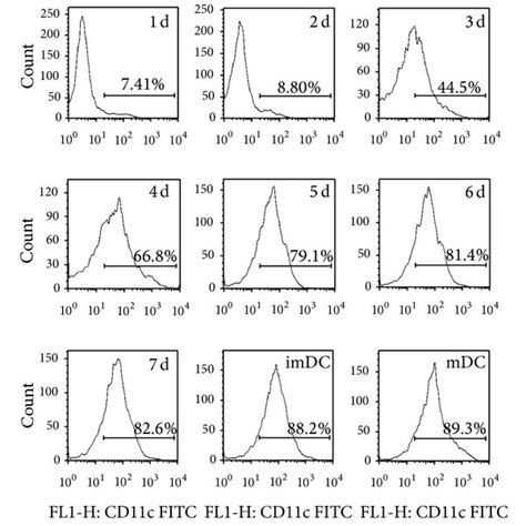 The Effect Of Ycp On Dcs A The Expression Of Cd11c On Dcs After