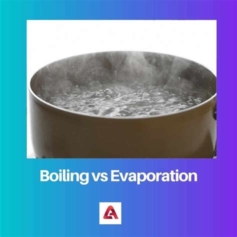 Boiling Vs Evaporation Difference And Comparison