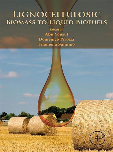 Amazon Lignocellulosic Biomass To Liquid Biofuels Ebook Yousuf