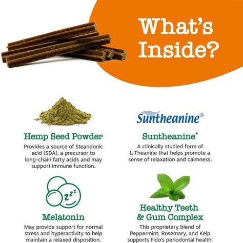 Online Zesty Paws Hemp Elements Calming Orastix Peppermint Flavored