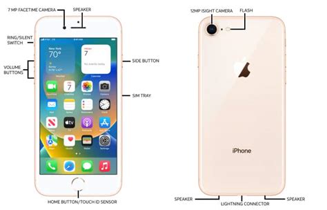 Apple IPhone 8 8 Plus Diagram AT T Device Support