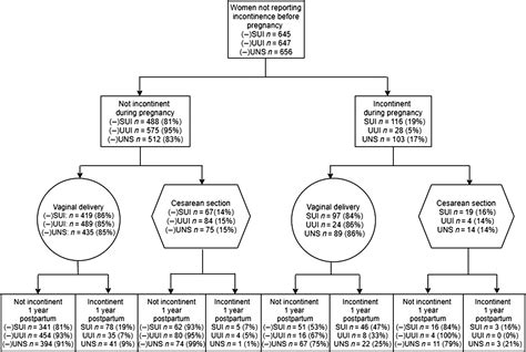 Stress And Urgency Urinary Incontinence One Year After A First Birth