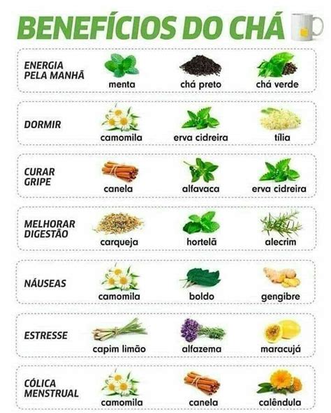 Pin de Ivana em Receitas Naturais Chás medicinais Ervas medicinais