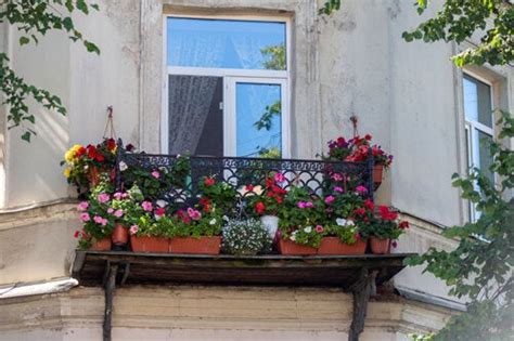 20 meilleures plantes suspendues résistantes au soleil pour décorer les