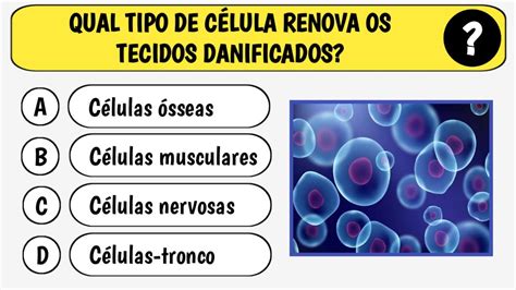 Perguntas De Biologia N Vel M Dio Youtube