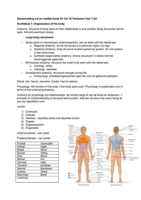 Samenvatting Cel En Weefsel Boek Body Structures Can Be Seen Felt