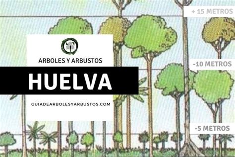 GuÍa De Árboles Y Arbustos De Los Bosques Comestibles Arboles Arbustos