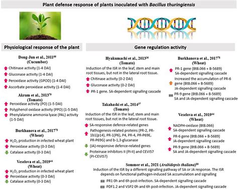 Bacillus Thuringiensis As A Biofertilizer In Crops And Their