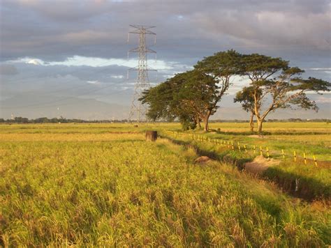 Studying The Effects Of Drought On Rice Production In Nueva Ecija