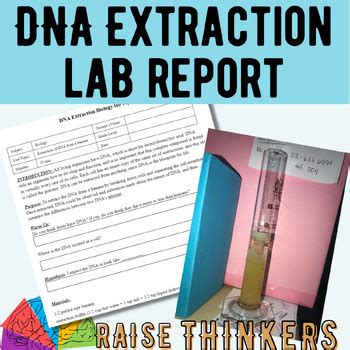 DNA Extraction Lab Report From A Fruit For High School Science TPT