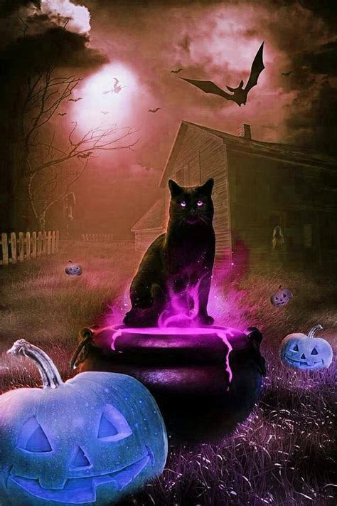 Halloween Cat Wallpapers Top Free Halloween Cat Backgrounds