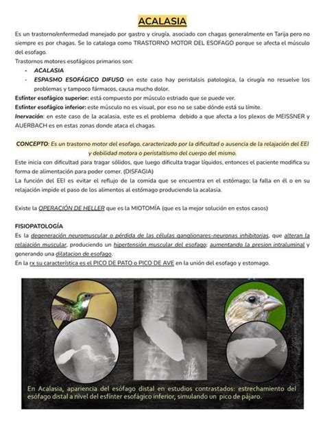 Patolog As Del Es Fago Ana Mendoza Udocz