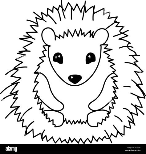 Hedgehog Illustration Black And White