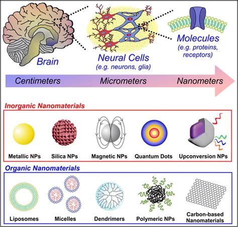 Design Preparation And Functionalization Of Nanobiomaterials For Enhanced Efficacy In Current