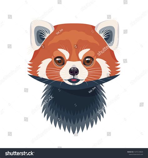 Red Panda Head Images Stock Photos Vectors Shutterstock