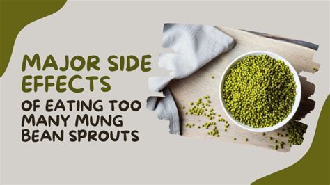 Major Side Effects Of Eating Too Many Mung Bean Sprouts Balancing