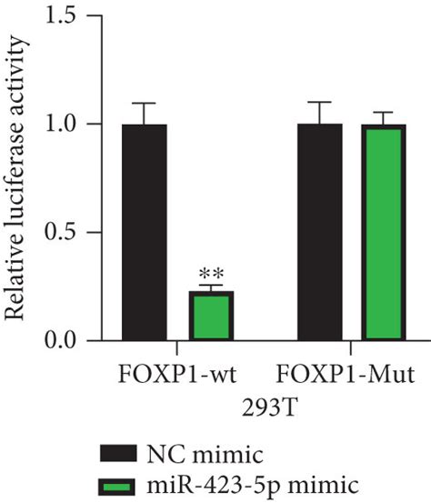 Circfoxp Sponges To Mir P A B Ago Rip Was Utilized In Achn