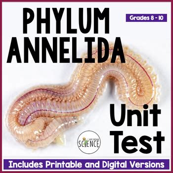 Annelida Earthworm Segmented Worms Test By Amy Brown Science Tpt