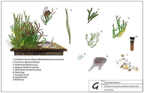 The Beginning Plans For The Litterati Display For Wildlife Society San