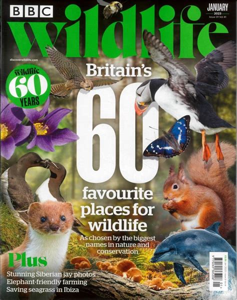 Bbc Wildlife Magazine Subscription