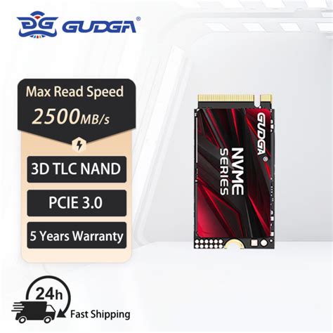 Gudga 256gb M2 Nvme Pcie 30 Ssd 22x42 มม 22x80 มม ไดรฟ์โซลิดสเตต