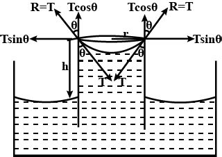 Derive An Expression For Capillary Rise For A Liquid Having A Concave