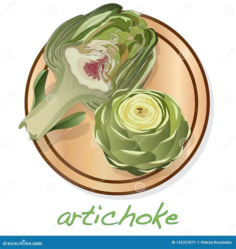 Artichoke On Plate Vector Illustration Set Image Isolated On White Background Cartoondealer