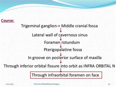 Branches Of Trigeminal Nerve Flow Chart The Trigeminal Nerve Cn V