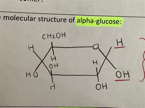 Biology Unit Biological Molecules Flashcards Quizlet