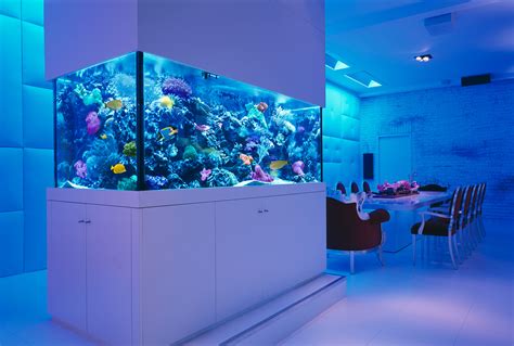 Incredibly Awesome Ideas To Beautify Your Home With Aquariums