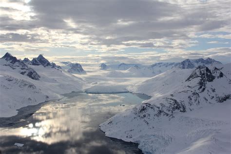 Isolated Greenland polar bear population adapts to climate change ...