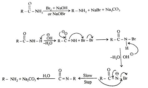 Primary Amide