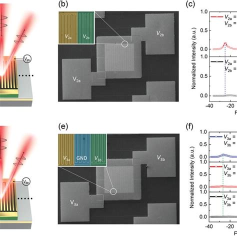 Electrically Tunable Polaritonic Metasurfaces Schematic Illustration