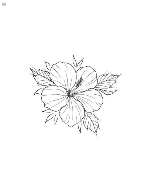 Pin On Enregistrements Rapides In Hawaiian Flower Tattoos